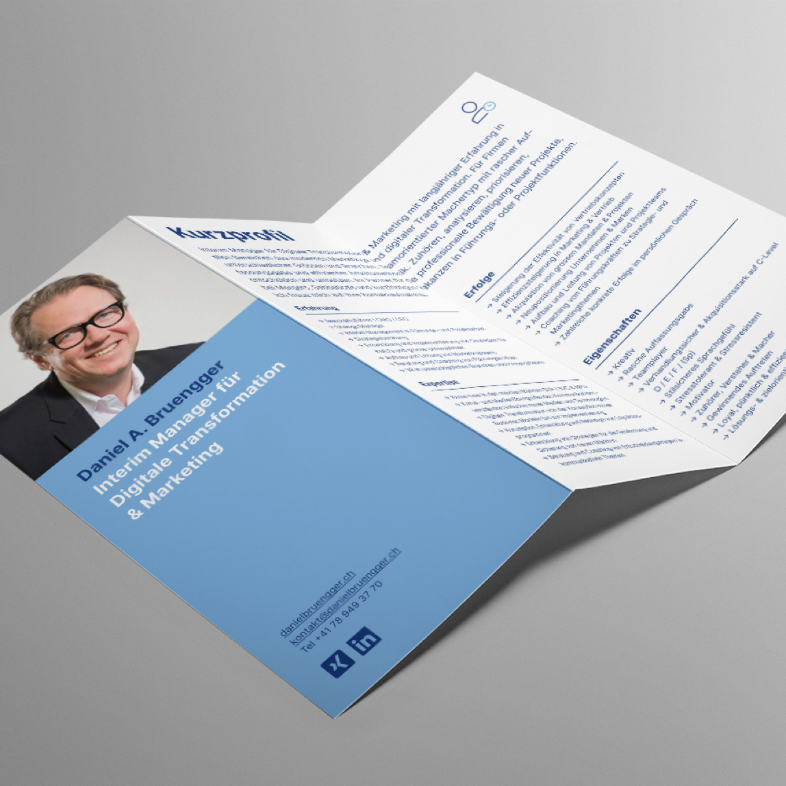 Mein aktuelles CV (PDF)